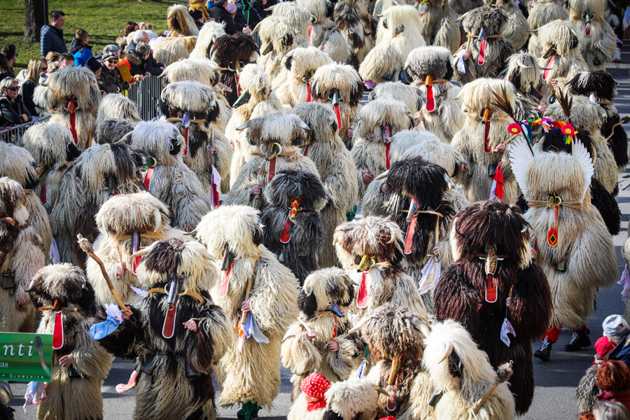 kurentovanje_2020_povorka_pigac_si_MAVA1561
