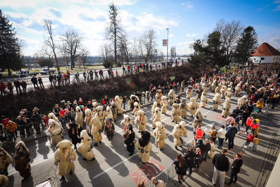 kurentovanje_2020_povorka_pigac_si_MAVA1607