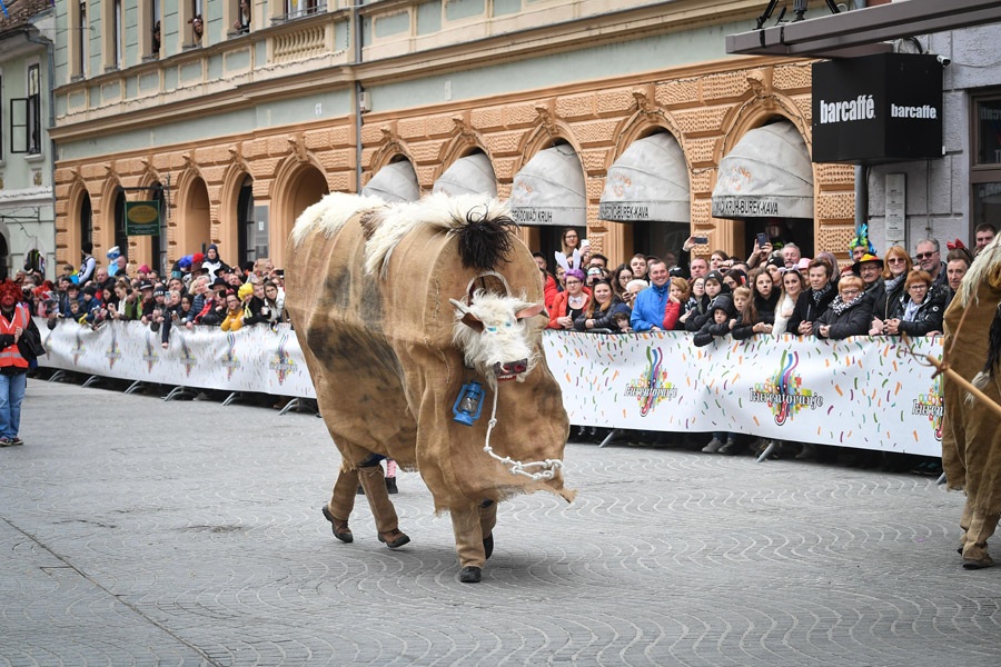 kurentovanje_2020_povorka__pigac_si_DSC_1010